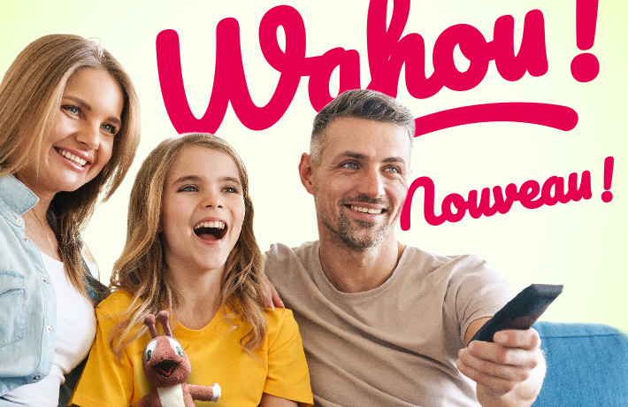 Télévision incluse dans hébergements