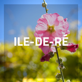Camping Ile de Ré
