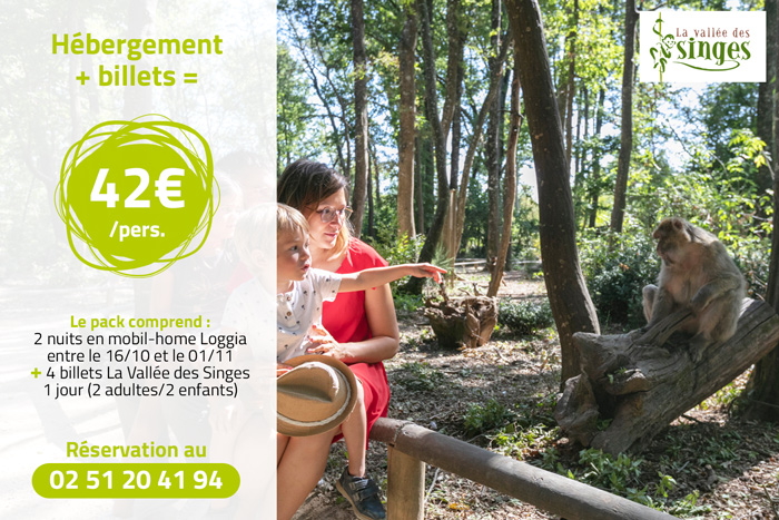 Package : Hébergement + billets Vallée des Singes