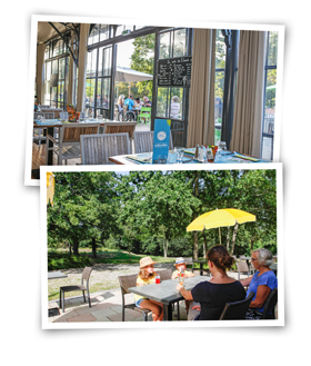 Restaurant règles sanitaires Oléla