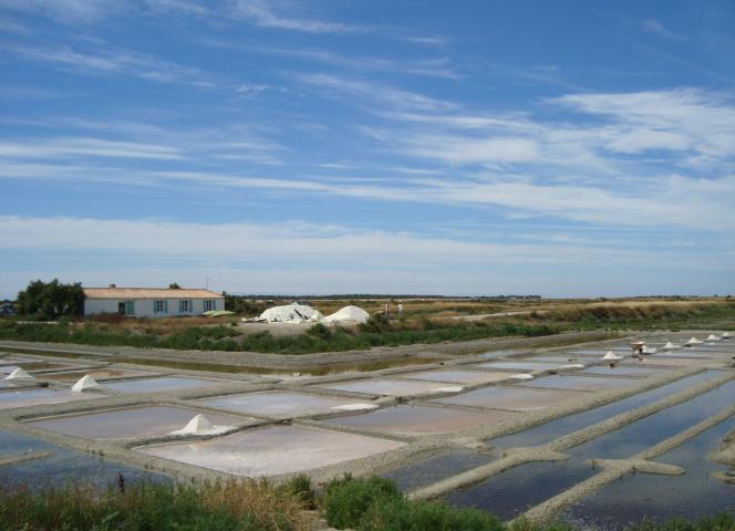 Marais Salants