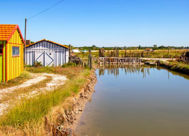 Les cabanes ostréicoles colorées
