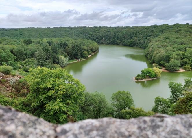 foret-mervent-vouvant