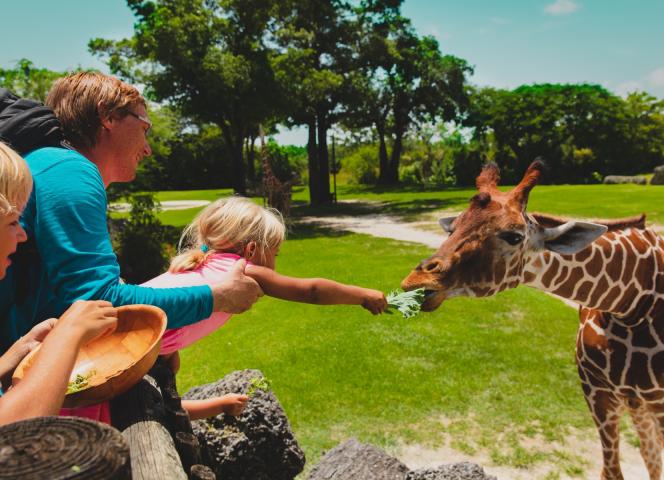 Parc Branfere Quiberon