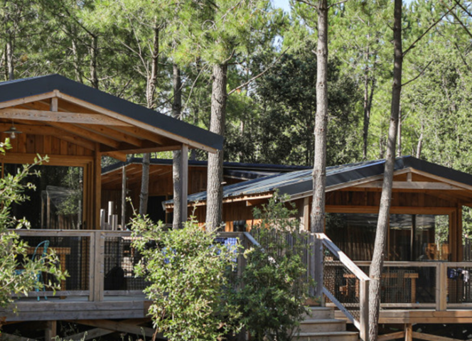 Location cocoon lodge