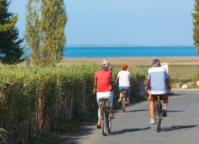 Cyclistes qui visitent l'Ile de Ré