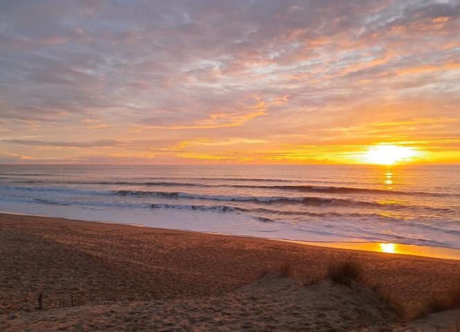 Découvrez les meilleures plages du Sud Vendée - à 150m du camping Le Petit Rocher 