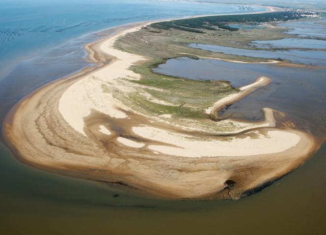 Découvrez les plus belles plages du Sud Vendée