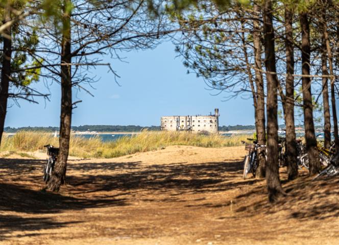 Les 5 raisons de partir en camping en Charente Maritime