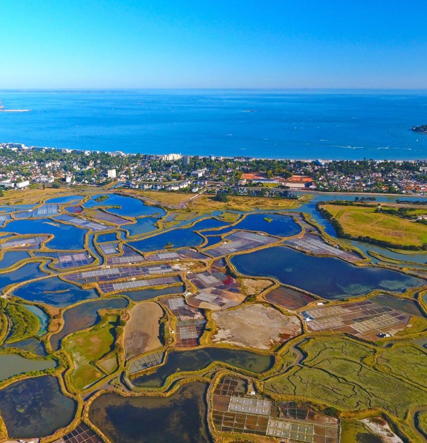 marais-salants-guerande-bretagne