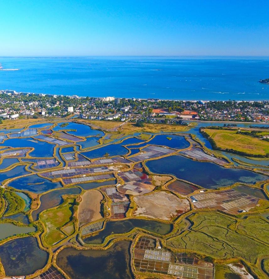 incontournable presqu'ile guérande