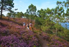 Offre voyageurs itinérants Finistère Sud - Camping La Corniche 3*