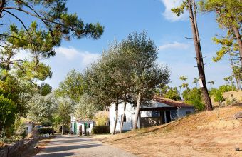 Vacances dans un camping en pleine nature