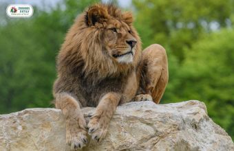 Visite Zoo du Bois d'Attily camping Le Village Parisien