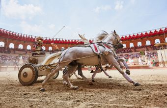 Visite Puy du Fou®