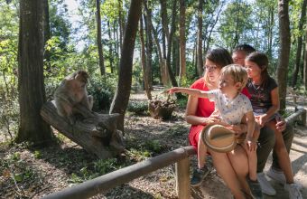 Vallée des Singes proche du camping La Rivière