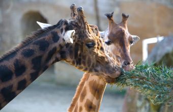 Visite Zoo des Sables d'Olonne