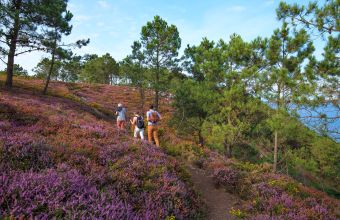 Offre voyageurs itinérants Finistère Sud - Camping La Corniche 3*