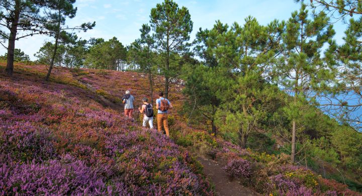 Offre voyageurs itinérants Finistère Sud - Camping La Corniche 3*