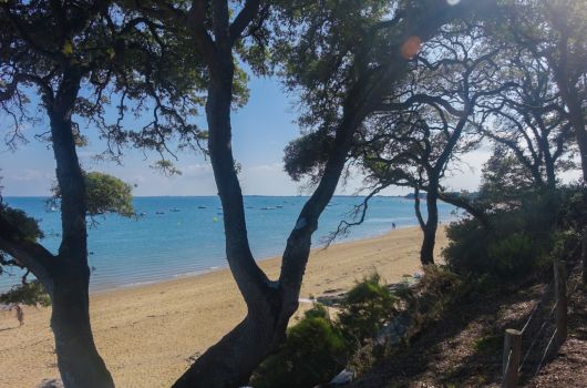 Sentier plage des Sableaux Bois de la Chaise Noirmoutier