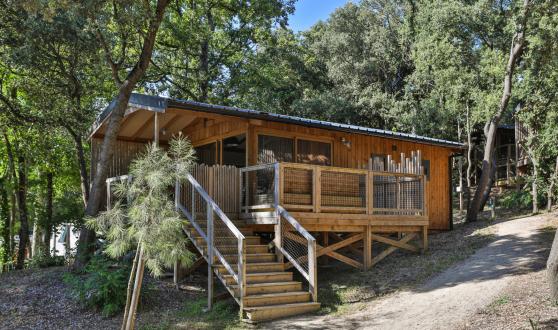 Oléla gamme évolution